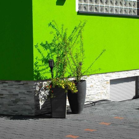 Pension Froschprinz Seligenstadt Exterior foto
